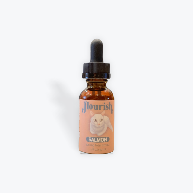 Feline Hemp Oil Drops - Salmon