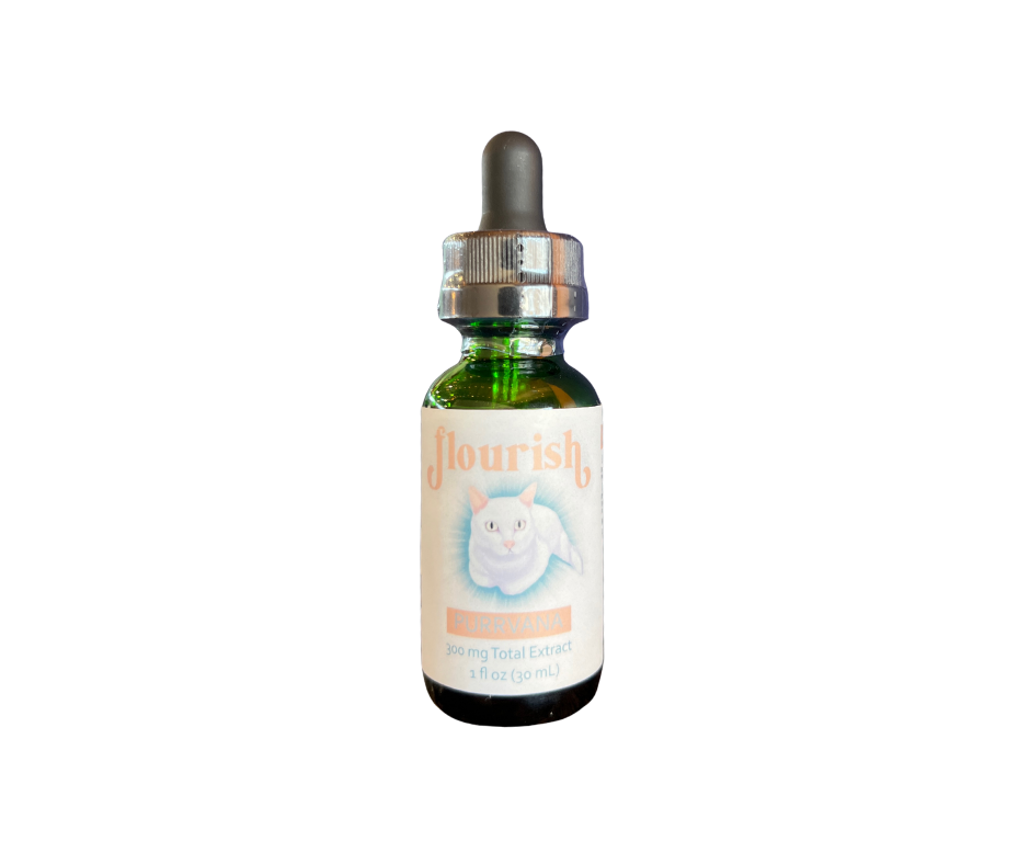 Feline Hemp Oil Drops - Purrvana