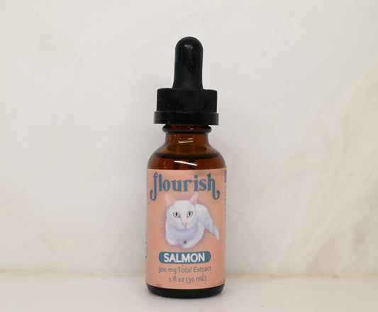 Feline Hemp Oil Drops - Salmon